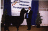 Nina&d.gif (52667 bytes)